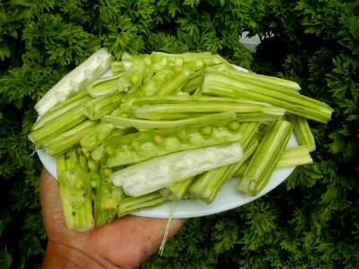 Food dishes delicacies of Bulacan Province
