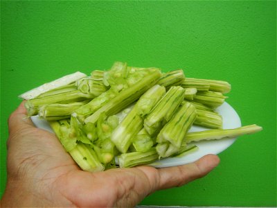 Food dishes delicacies of Bulacan Province