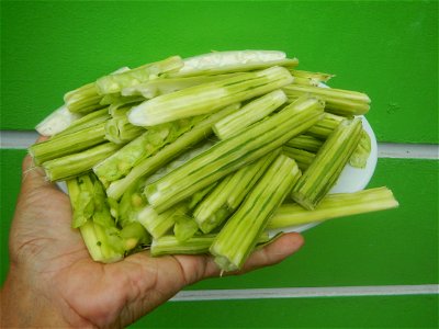 Food dishes delicacies of Bulacan Province