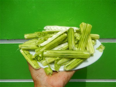 Food dishes delicacies of Bulacan Province