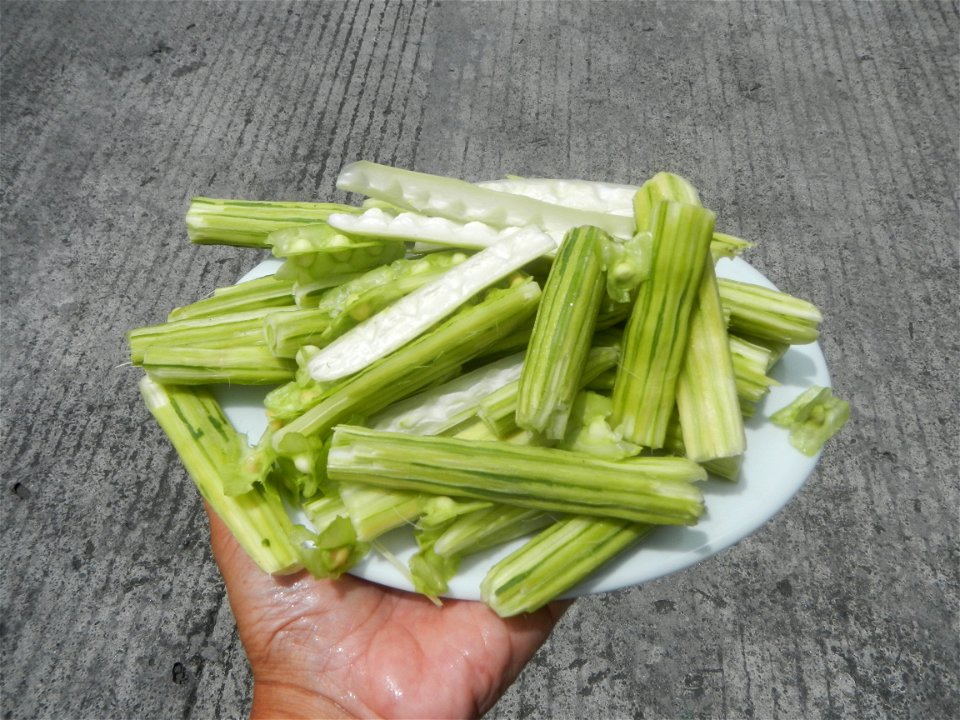 Food dishes delicacies of Bulacan Province