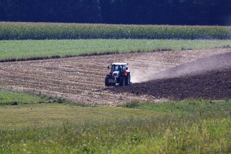 Field plow midsummer