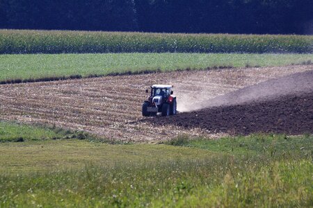 Field plow midsummer photo