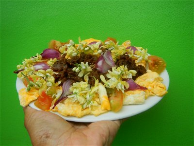 Moringa oleifera flowers