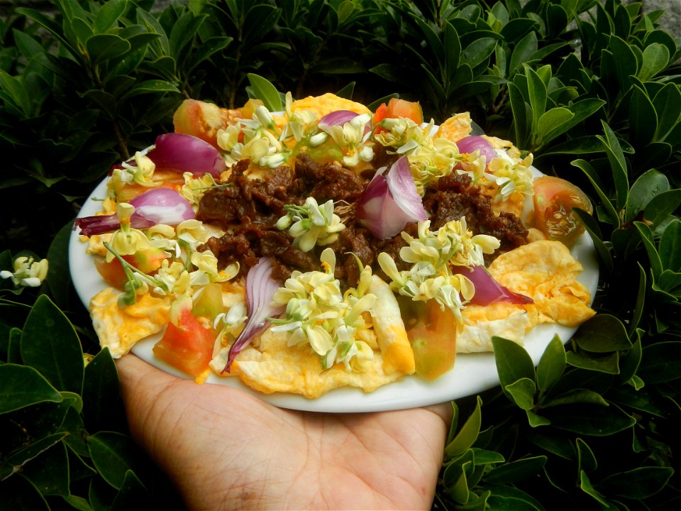 Moringa oleifera flowers