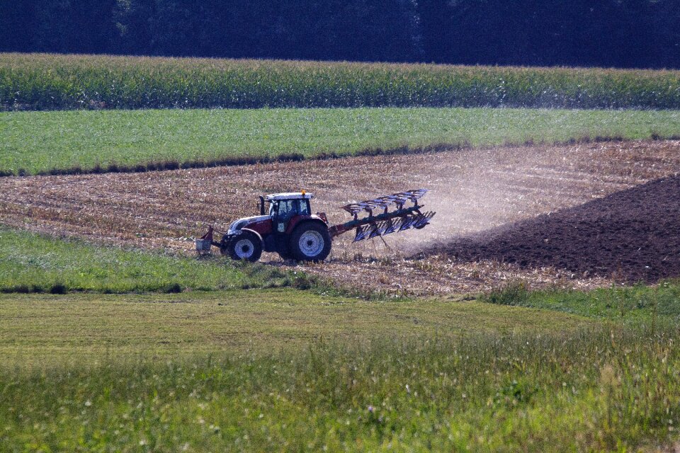 Field plow midsummer