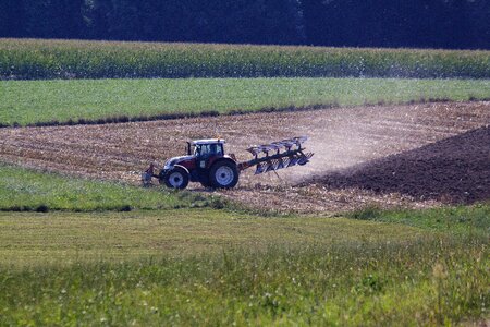 Field plow midsummer