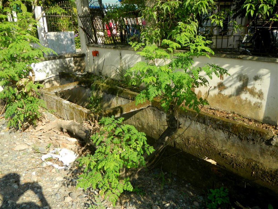 Sitios, puroks and zones 1-7 of Piaz, Villasis, Pangasinan Gawad Kalinga Villasis Namnama Village Piaz Elementary School Villasis-Asingan Road (Poblacion I-San Blas-Caramutan-Piaz, Villasis) San Blas 