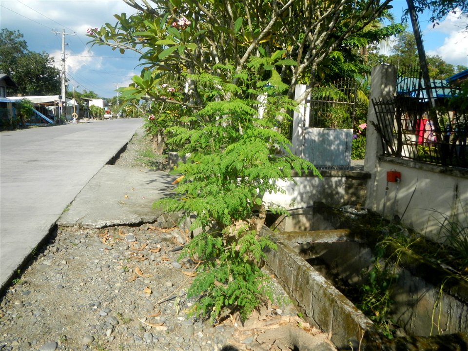 Sitios, puroks and zones 1-7 of Piaz, Villasis, Pangasinan Gawad Kalinga Villasis Namnama Village Piaz Elementary School Villasis-Asingan Road (Poblacion I-San Blas-Caramutan-Piaz, Villasis) San Blas 