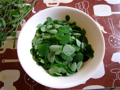 These are Malunggay (Moringa oleifera) leaves that I carefully picked, all compiled in a bowl. Some of the stem and unpicked leaves can be seen on the upper left corner. They won't be used obviously.