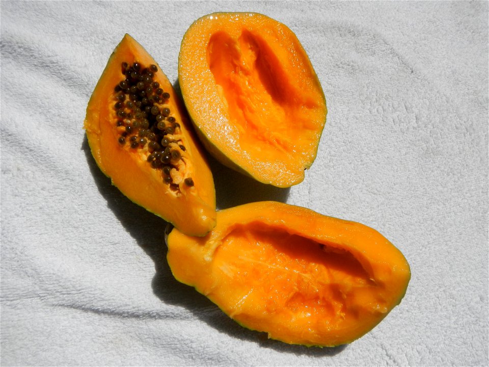 Carica papaya food and cuisine of Bulacan (Note: Judge Florentino Floro, the owner, to repeat, Donor Florentino Floro of all these photos hereby donate gratuitously, freely and unconditionally all the