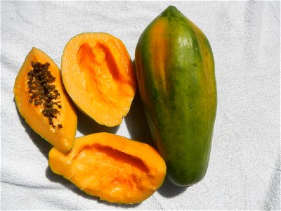 Carica papaya food and cuisine of Bulacan (Note: Judge Florentino Floro, the owner, to repeat, Donor Florentino Floro of all these photos hereby donate gratuitously, freely and unconditionally all the