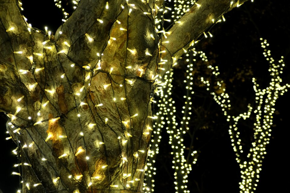 Gold street tokyo
