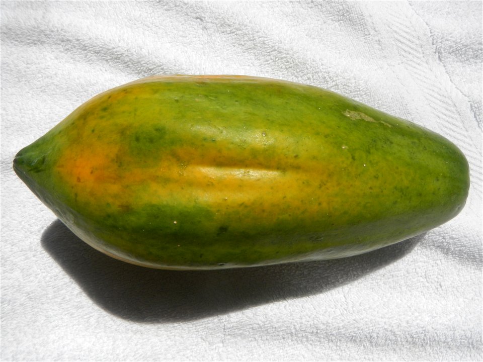 Carica papaya food and cuisine of Bulacan (Note: Judge Florentino Floro, the owner, to repeat, Donor Florentino Floro of all these photos hereby donate gratuitously, freely and unconditionally all the