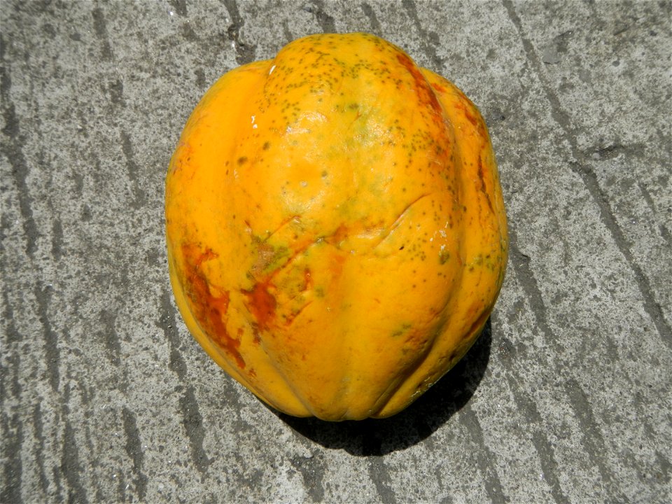 Cuisine of Bulacan, Foods and fruits Carica Papaya Duhat (Philippines) Guyabano (Philippines)