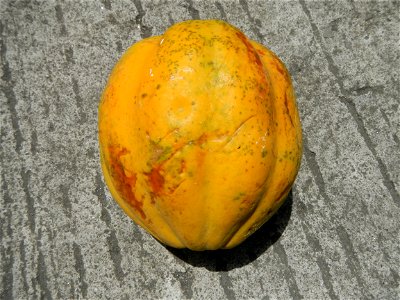 Cuisine of Bulacan, Foods and fruits Carica Papaya Duhat (Philippines) Guyabano (Philippines)