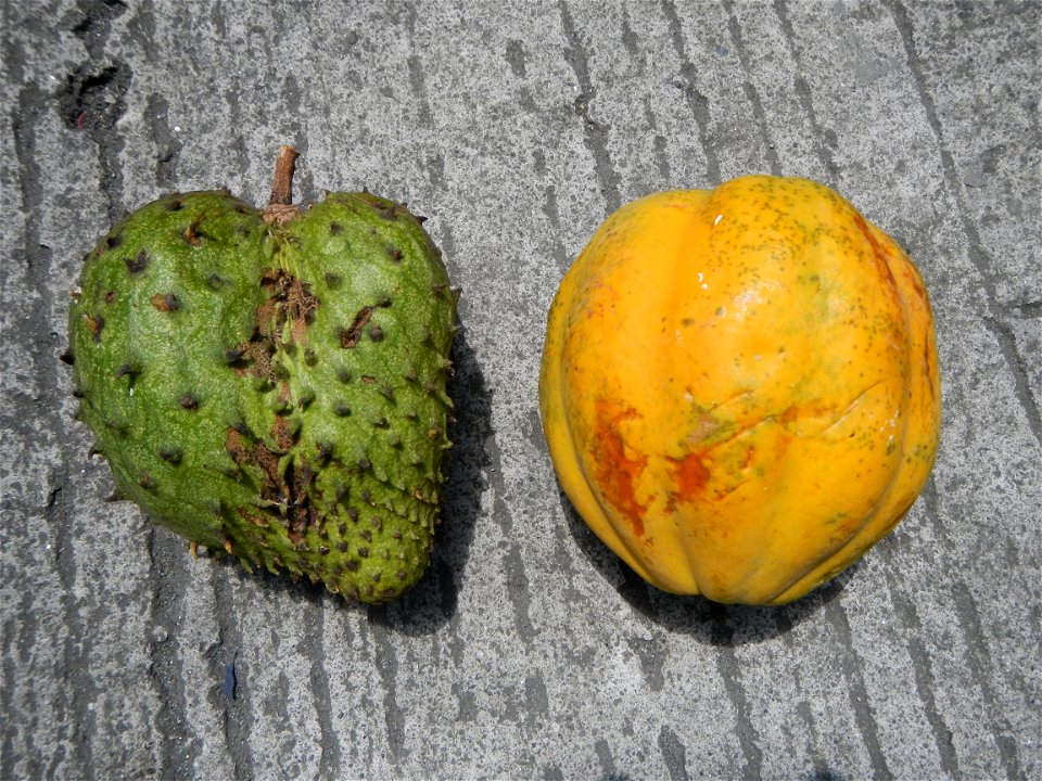 Cuisine of Bulacan, Foods and fruits Carica Papaya Duhat (Philippines) Guyabano (Philippines)