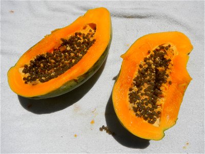 Pithecellobium dulce Camachile fruits, Carica papaya Bananas Mangoes and Siniguelas fruits of the Philippines, photos taken at Poblacion, Baliuag, Bulacan  (Note: Judge Florentino Floro, the owner, to