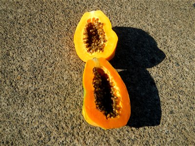 Carica papaya. photo
