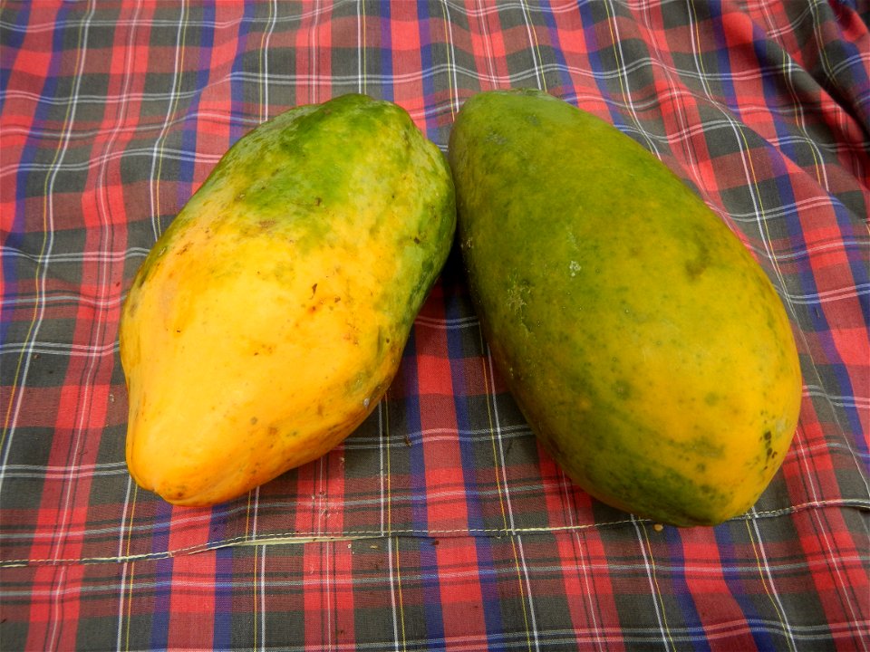 Saba banana Carica papaya in the Philippines seeds Garlic in the Philippines List of Philippine dishes Pipino (Philippines) Tomatoes of the Philippines Tomato slices Tomato textures Luyang dilaw Gabi 