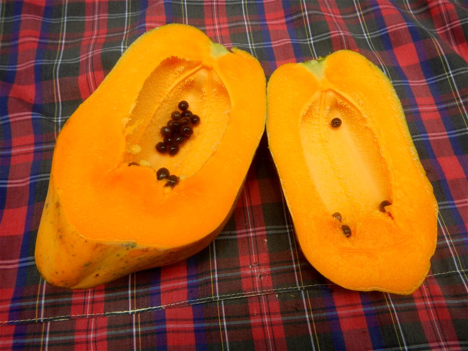 Saba banana Carica papaya in the Philippines seeds Garlic in the Philippines List of Philippine dishes Pipino (Philippines) Tomatoes of the Philippines Tomato slices Tomato textures Luyang dilaw Gabi 