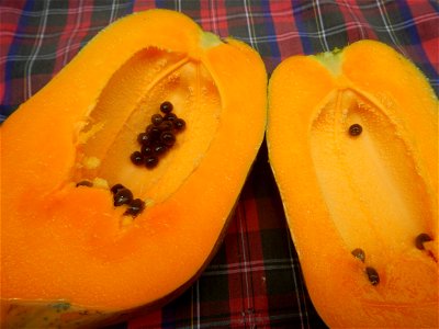 Saba banana Carica papaya in the Philippines seeds Garlic in the Philippines List of Philippine dishes Pipino (Philippines) Tomatoes of the Philippines Tomato slices Tomato textures Luyang dilaw Gabi 