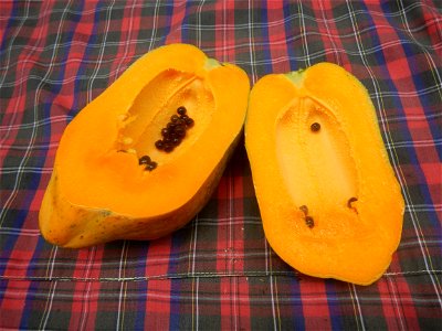 Saba banana Carica papaya in the Philippines seeds Garlic in the Philippines List of Philippine dishes Pipino (Philippines) Tomatoes of the Philippines Tomato slices Tomato textures Luyang dilaw Gabi 