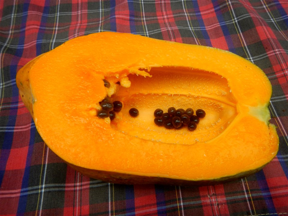 Saba banana Carica papaya in the Philippines seeds Garlic in the Philippines List of Philippine dishes Pipino (Philippines) Tomatoes of the Philippines Tomato slices Tomato textures Luyang dilaw Gabi 