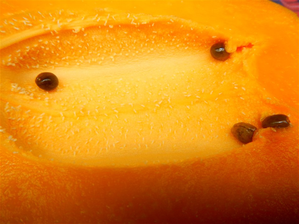 Saba banana Carica papaya in the Philippines seeds Garlic in the Philippines List of Philippine dishes Pipino (Philippines) Tomatoes of the Philippines Tomato slices Tomato textures Luyang dilaw Gabi 