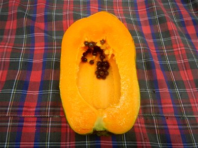 Saba banana Carica papaya in the Philippines seeds Garlic in the Philippines List of Philippine dishes Pipino (Philippines) Tomatoes of the Philippines Tomato slices Tomato textures Luyang dilaw Gabi 