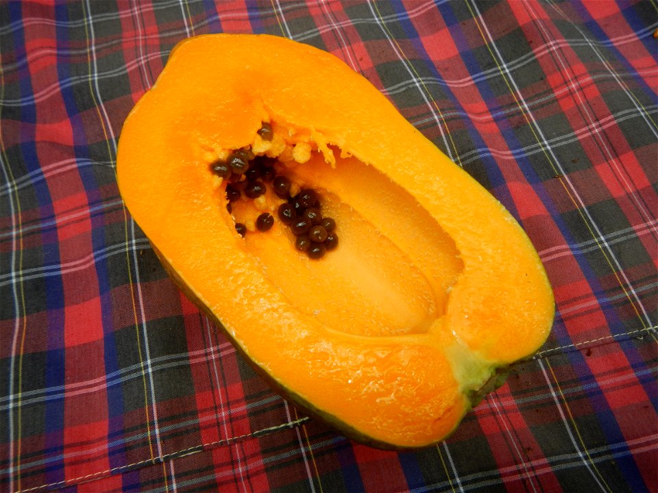 Saba banana Carica papaya in the Philippines seeds Garlic in the Philippines List of Philippine dishes Pipino (Philippines) Tomatoes of the Philippines Tomato slices Tomato textures Luyang dilaw Gabi 