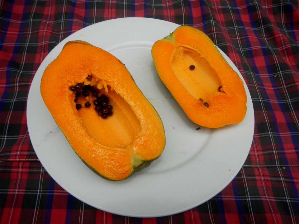 Saba banana Carica papaya in the Philippines seeds Garlic in the Philippines List of Philippine dishes Pipino (Philippines) Tomatoes of the Philippines Tomato slices Tomato textures Luyang dilaw Gabi 