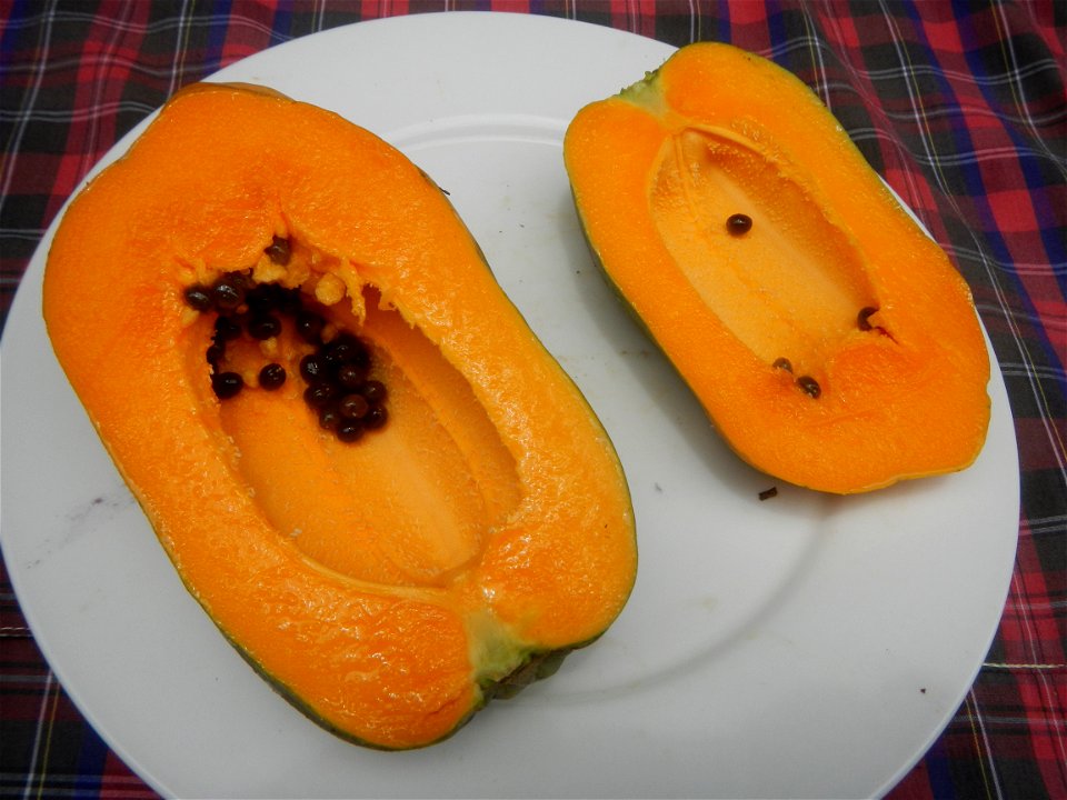 Saba banana Carica papaya in the Philippines seeds Garlic in the Philippines List of Philippine dishes Pipino (Philippines) Tomatoes of the Philippines Tomato slices Tomato textures Luyang dilaw Gabi 