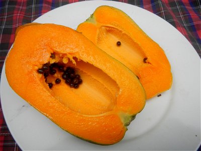 Saba banana Carica papaya in the Philippines seeds Garlic in the Philippines List of Philippine dishes Pipino (Philippines) Tomatoes of the Philippines Tomato slices Tomato textures Luyang dilaw Gabi 