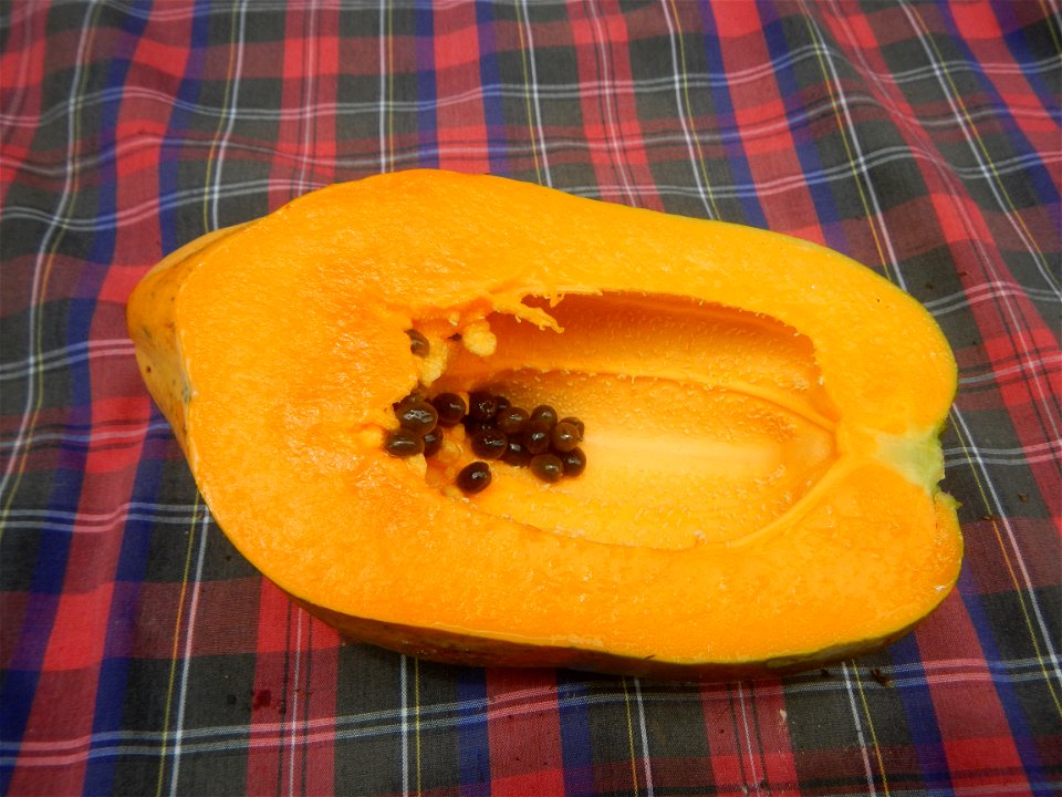 Saba banana Carica papaya in the Philippines seeds Garlic in the Philippines List of Philippine dishes Pipino (Philippines) Tomatoes of the Philippines Tomato slices Tomato textures Luyang dilaw Gabi 