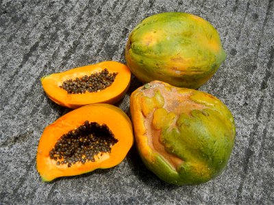 Carica papaya, Filipino pochero Puchero, Babuyog statue, I Love Santa Cruz, Guiguinto, Bulacan Welcome Road Sign Barangay Santa Cruz 14°50'33"N  120°52'13"E beside Tuktukan 14°49'37"N   120°53'30"E Po