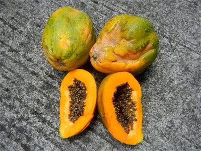 Carica papaya, Filipino pochero Puchero, Babuyog statue, I Love Santa Cruz, Guiguinto, Bulacan Welcome Road Sign Barangay Santa Cruz 14°50'33"N  120°52'13"E beside Tuktukan 14°49'37"N   120°53'30"E Po
