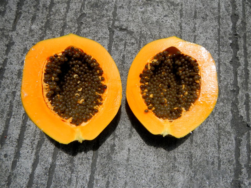 Cuisine of Bulacan, Foods and fruits, Carica Papaya, Duhat (Philippines) and Guyabano (Philippines).