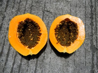 Cuisine of Bulacan, Foods and fruits, Carica Papaya, Duhat (Philippines) and Guyabano (Philippines).