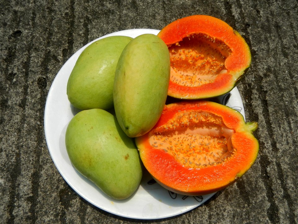 Mangoes in the Philippines, Chico, Carica papaya Classic Savory products Chicken Lomi Milkfish dishes of the Philippines Pixie's Sinugba Cuisine of Bulacan (Note: Judge Florentino Floro, the owner, to
