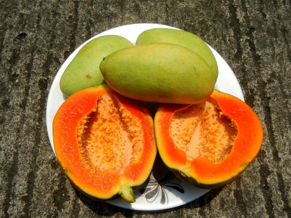 Mangoes in the Philippines, Chico, Carica papaya Classic Savory products Chicken Lomi Milkfish dishes of the Philippines Pixie's Sinugba Cuisine of Bulacan (Note: Judge Florentino Floro, the owner, to