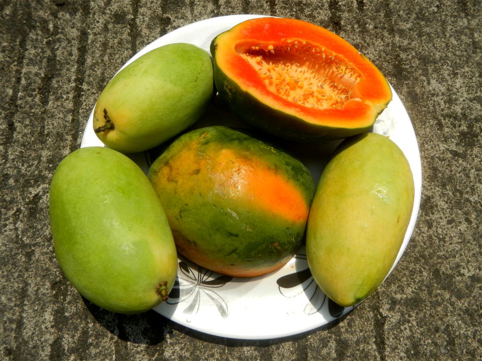Mangoes in the Philippines, Chico, Carica papaya Classic Savory products Chicken Lomi Milkfish dishes of the Philippines Pixie's Sinugba Cuisine of Bulacan (Note: Judge Florentino Floro, the owner, to