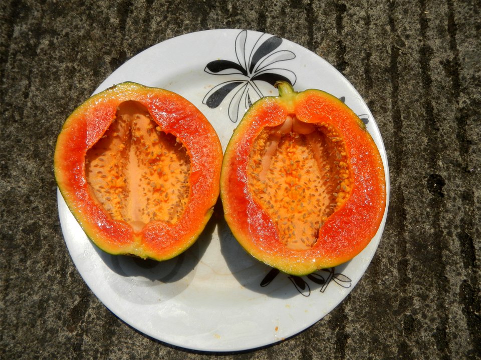 Mangoes in the Philippines, Chico, Carica papaya Classic Savory products Chicken Lomi Milkfish dishes of the Philippines Pixie's Sinugba Cuisine of Bulacan (Note: Judge Florentino Floro, the owner, to