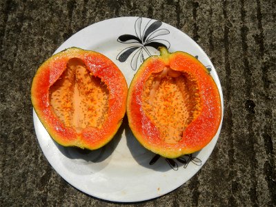 Mangoes in the Philippines, Chico, Carica papaya Classic Savory products Chicken Lomi Milkfish dishes of the Philippines Pixie's Sinugba Cuisine of Bulacan (Note: Judge Florentino Floro, the owner, to