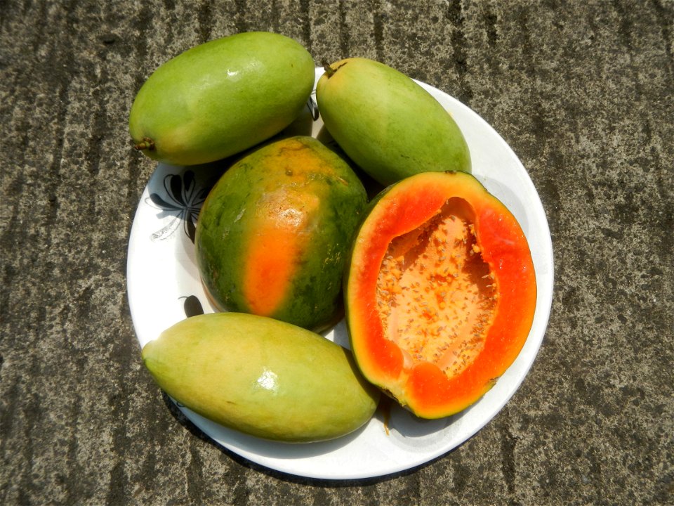 Mangoes in the Philippines, Chico, Carica papaya Classic Savory products Chicken Lomi Milkfish dishes of the Philippines Pixie's Sinugba Cuisine of Bulacan (Note: Judge Florentino Floro, the owner, to