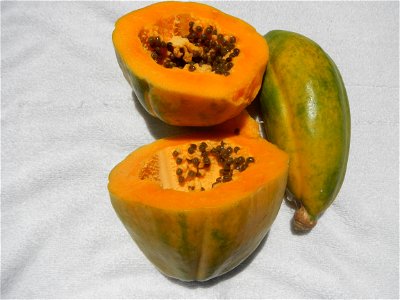 Fruits, mongo soup manggoes and carica papaya  (Note: Judge Florentino Floro, the owner, to repeat, Donor Florentino Floro of all these photos hereby donate gratuitously, freely and unconditionally al