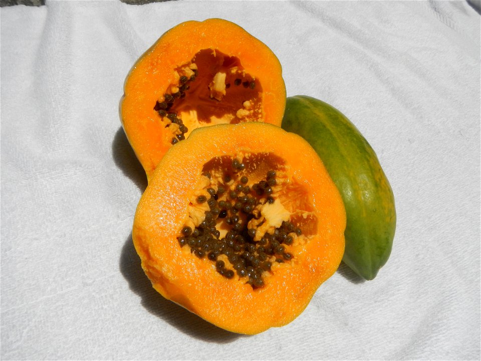 Fruits, mongo soup manggoes and carica papaya  (Note: Judge Florentino Floro, the owner, to repeat, Donor Florentino Floro of all these photos hereby donate gratuitously, freely and unconditionally al