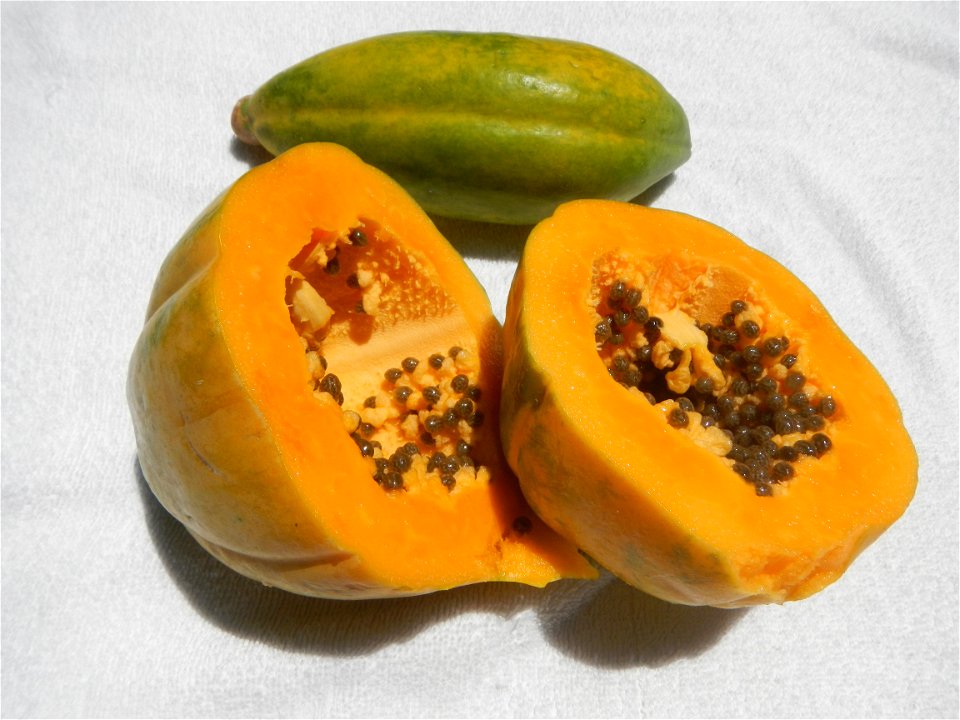 Fruits, mongo soup manggoes and carica papaya  (Note: Judge Florentino Floro, the owner, to repeat, Donor Florentino Floro of all these photos hereby donate gratuitously, freely and unconditionally al