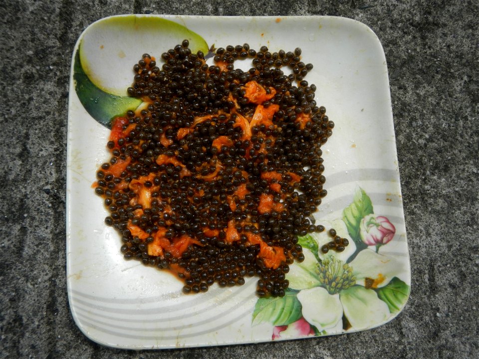 Kaldereta Pancit Carica papaya Mochi Calamansi fruits Savory Classic product Pancit canton McDonald's products in the Philippines (Note: Judge Florentino Floro, the owner, to repeat, Donor Florentino 
