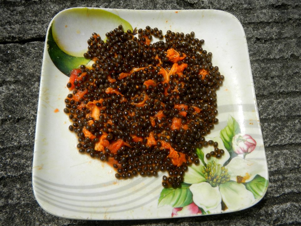 Kaldereta Pancit Carica papaya Mochi Calamansi fruits Savory Classic product Pancit canton McDonald's products in the Philippines (Note: Judge Florentino Floro, the owner, to repeat, Donor Florentino 